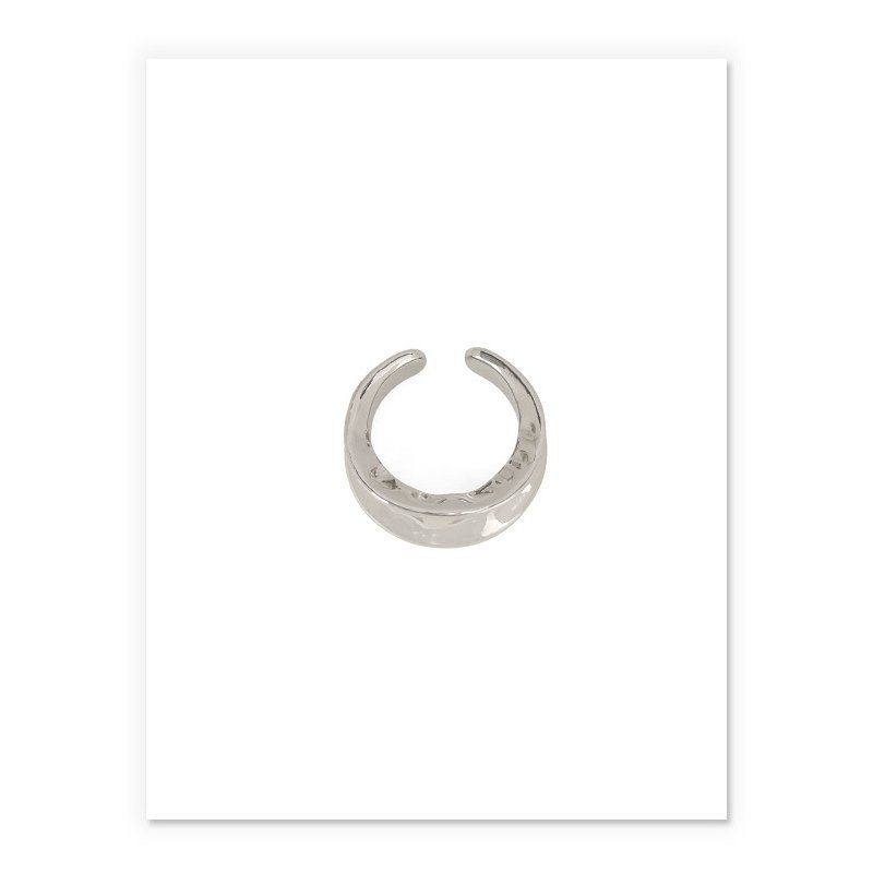 リング(指輪) 真鍮 プラチナメッキ レディース アクセサリー2009IP10233JZ - Better Things Mart